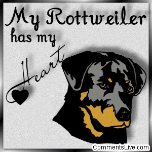 Rottweiler Heart picture