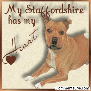 Staffordshire Heart picture