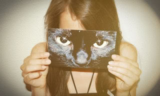 Cat Eyes Pic picture