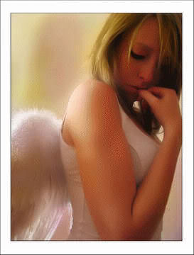 Fairy Wings picture