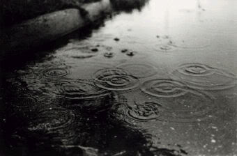 Raindrops picture