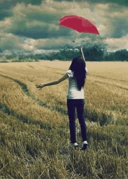 Red Umbrella picture